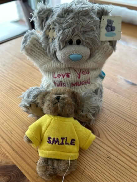 Photo of free Two Teddies (Penn HP10) #1