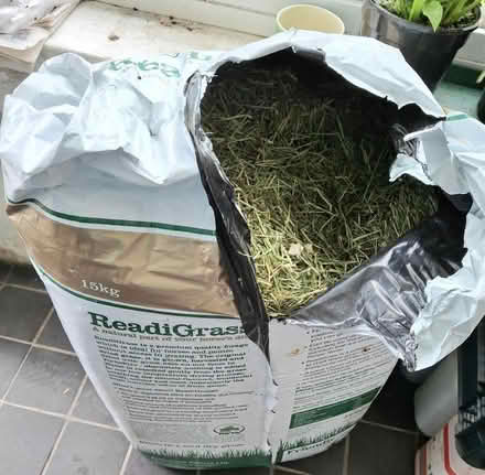 Photo of free ReadiGrass 15kg bale (Rhayader LD6) #2