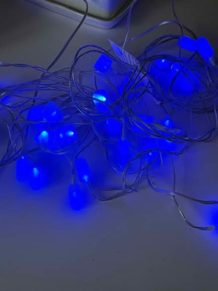 Photo of free Blue fairy lights from Habitat (Meldreth) #1