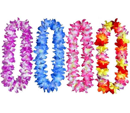 Photo of Hawaiian leis (East Somerville) #1