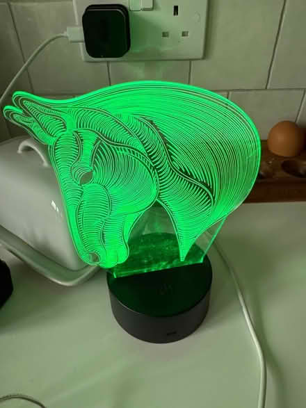 Photo of free Colour-changing horse light (Meldreth) #2