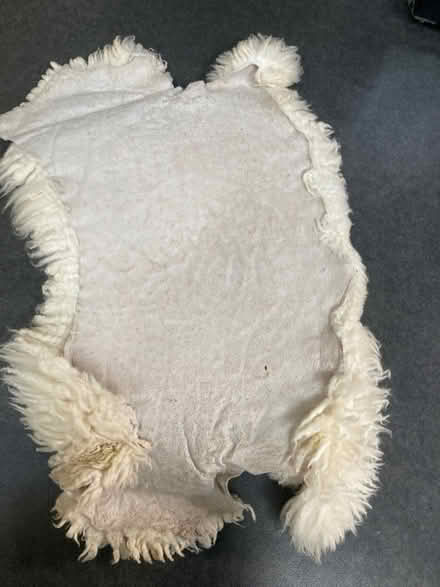 Photo of free Sheepskin for pet (Oldfield Park) #2