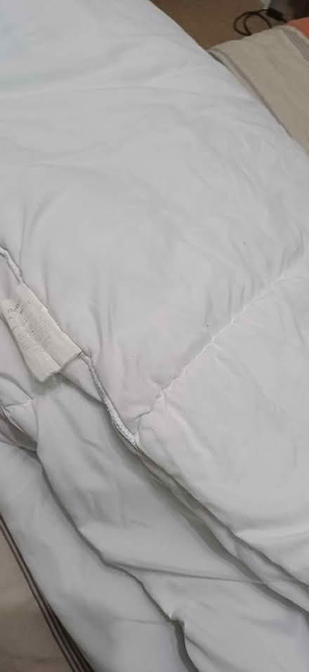 Photo of free King size quilt (West Felton SY11) #1