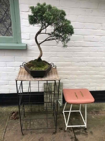 Photo of free Wicker topped-metal frame and stool for shed/ garden (Hastings TN35) #1