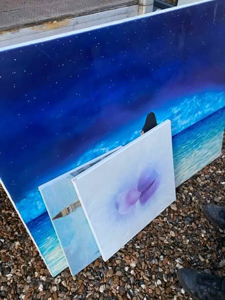 Photo of free Used canvases (GU21) #2
