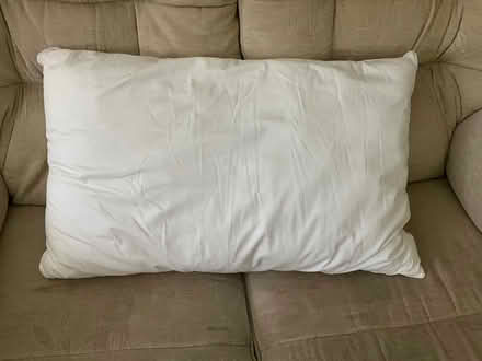 Photo of free 3 New (ish) pillows (Hertford SG14) #1