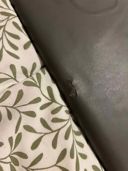 Photo of free Damaged air mattress (Archway) #3