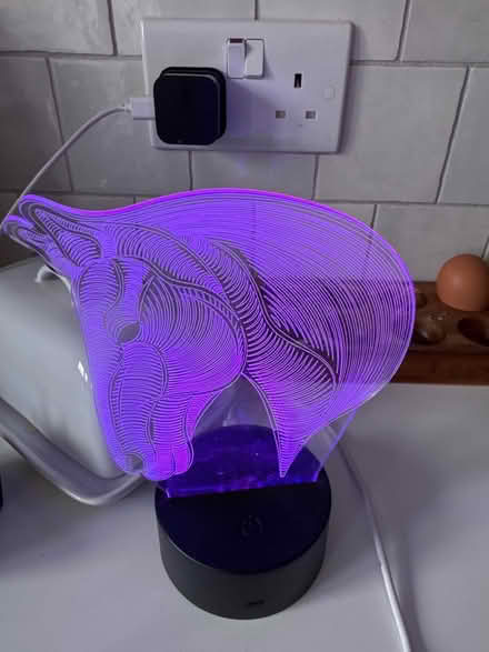 Photo of free Colour-changing horse light (Meldreth) #3