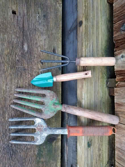 Photo of free Gardening Tools (Rusthall TN3) #1