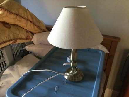 Photo of free 2 small lamps (SY4 5NN) #1