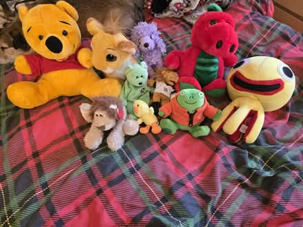 Photo of free Selection of cuddley toys (Shepshed LE12) #1