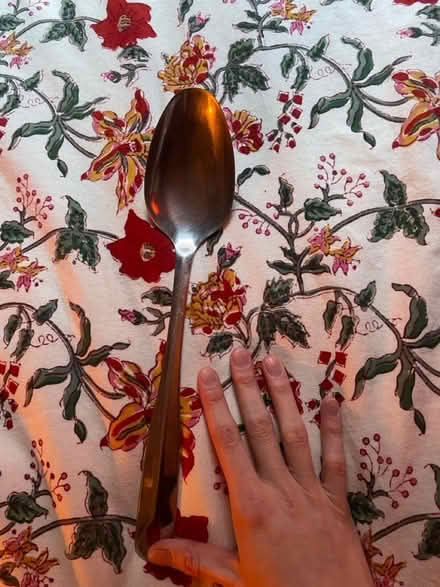 Photo of free Large metal stirring/serving spoon (108 and Broadway) #2