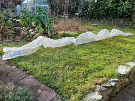 Photo of free Garden items (Llanfrynach LD3) #1