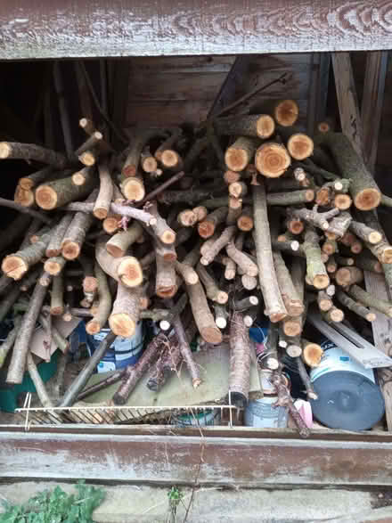 Photo of free Two piles of tree cuttings (Elvaston Meadows DE72) #1