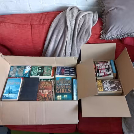 Photo of free 2 boxes of books (Lydham SY9) #1