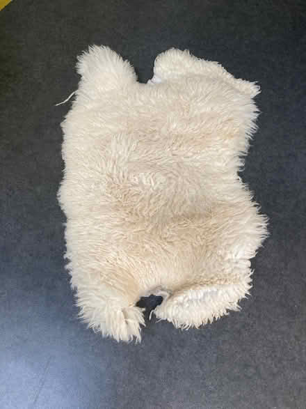 Photo of free Sheepskin for pet (Oldfield Park) #1