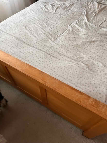 Photo of free Double bed (Stafford ST17) #2