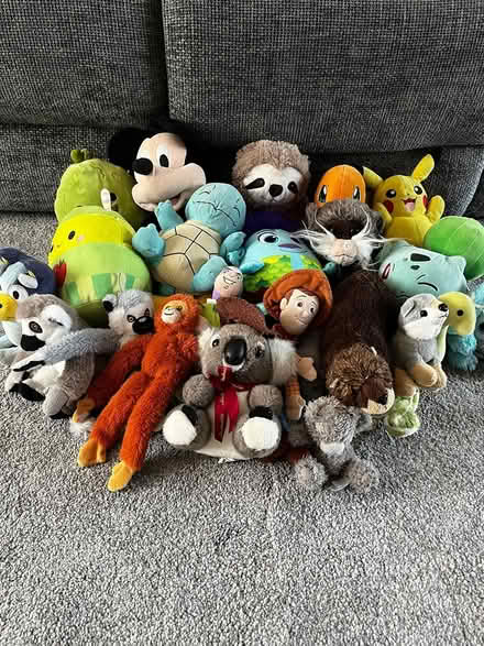 Photo of free Boys Cuddly Toys (Christchurch BH23) #1