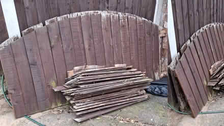 Photo of free Arched Dome FENCE PANELS & BOARDS (Hamstead B43) #1