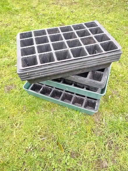 Photo of free Seed Trays (Collier Row RM5) #1