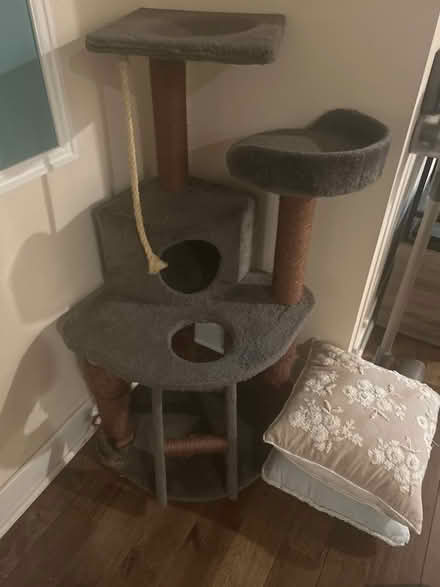Photo of free Cat tree (South Philadelphia) #1