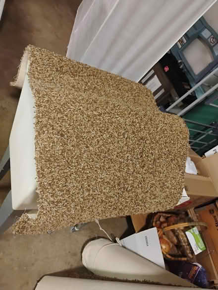 Photo of free carpet scraps new unused (Seatac) #2