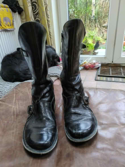Photo of free Fly black patent leather boots size 40 (Halton LA2) #1