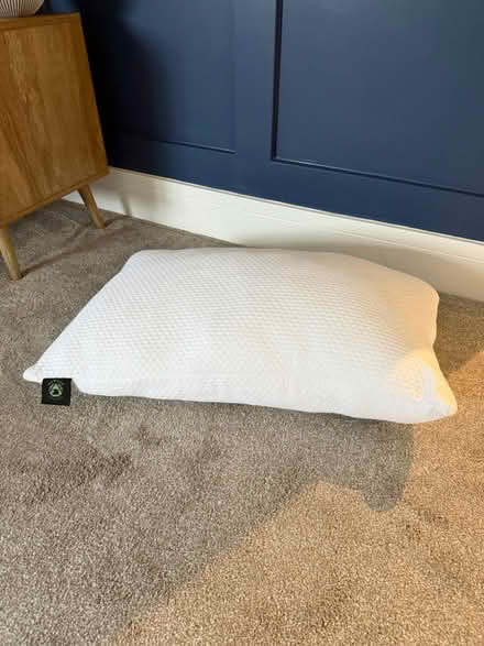 Photo of free Pillow (Kingswood KT20) #1