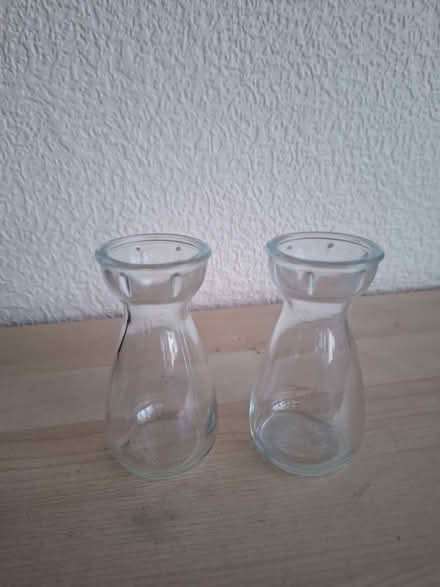 Photo of free Bulb vases (CT9) #1