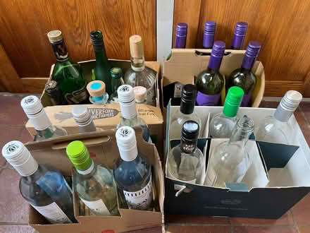 Photo of free Bottles for wine making (Hastings TN35) #1