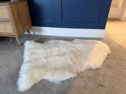 Photo of free 2x faux fur rug (Kingswood KT20) #1