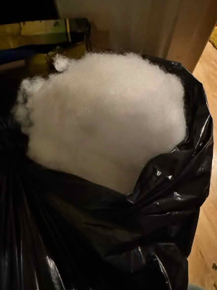 Photo of free Bag of fluff/stuffing (crafting) (Northfield) #2