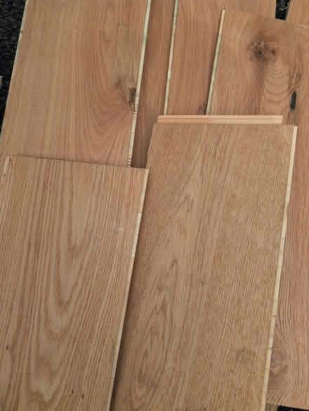 Photo of free Oiled Oak engineered off cuts (N2 East Finchley) #2