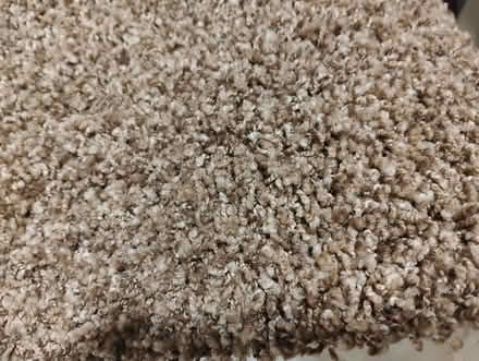 Photo of free carpet scraps new unused (Seatac) #3
