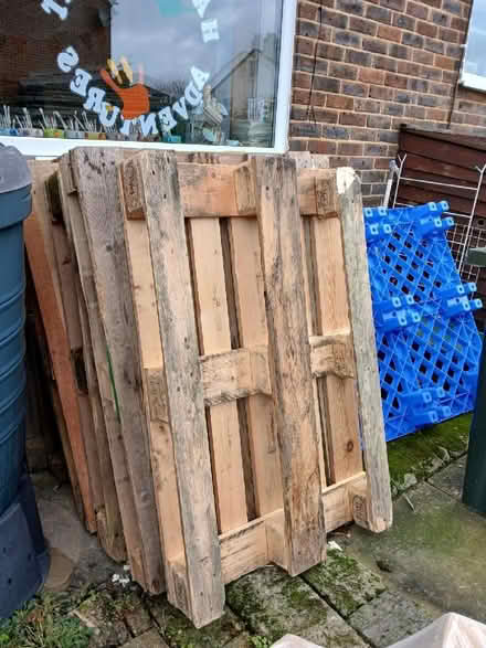 Photo of free Pallets (Old Windsor SL4) #1