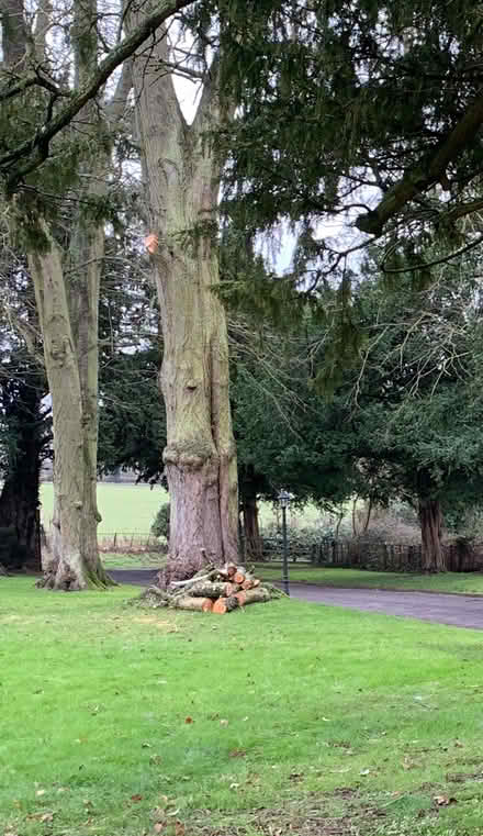 Photo of free WOOD / LOGS...to collect. (Eathorpe CV33) #1