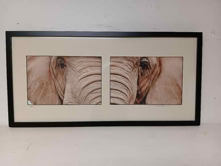 Photo of free Framed picture of elephant (West San Jose) #1