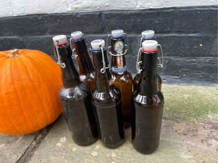 Photo of free Bottles for beer making (Hastings TN35) #1