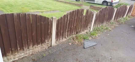 Photo of free Dome Top Feather Edge Fence Panels & Boards (Hamstead B43) #2