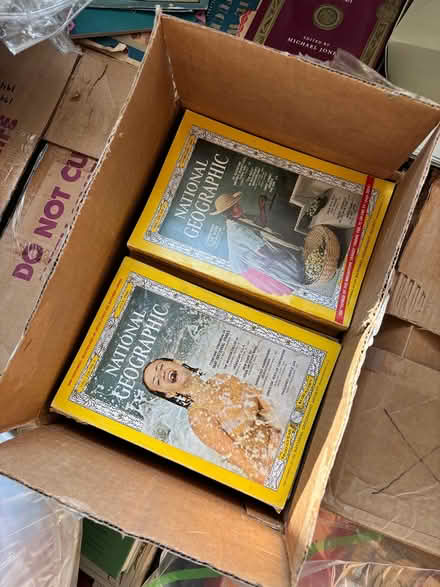 Photo of free National Geographic magazines (AU Park, DC) #3