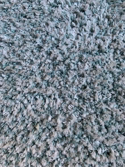 Photo of free John Lewis Rug (Barnton EH4) #2