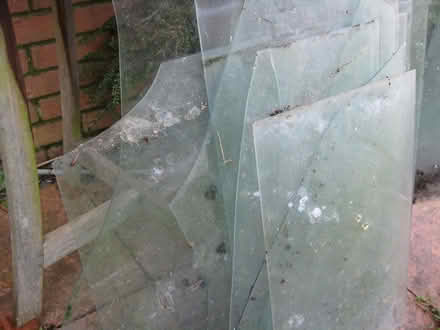 Photo of free Greenhouse glass, used. (Yeading UB4) #3