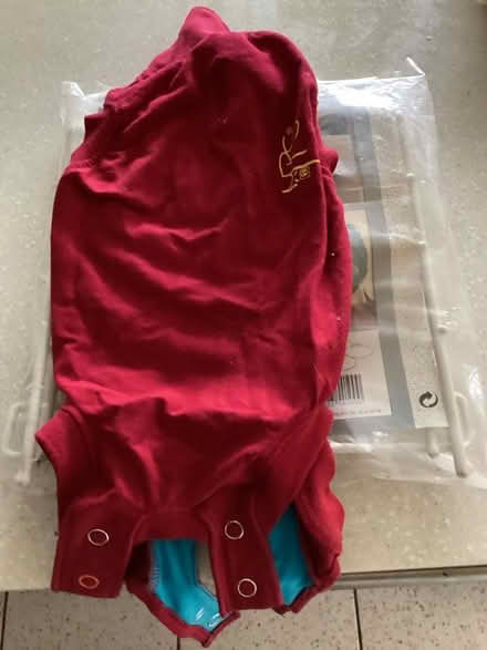 Photo of free Cat protective Vest (Wallington PO16) #1