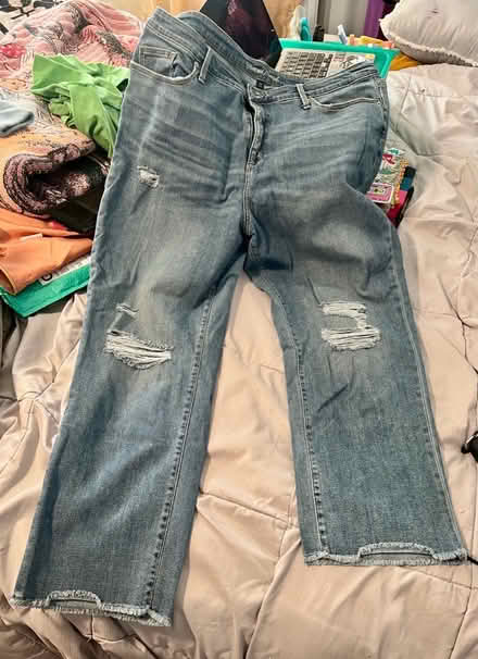 Photo of free Universal Thread 20W jeans (New Carrollton, MD) #2