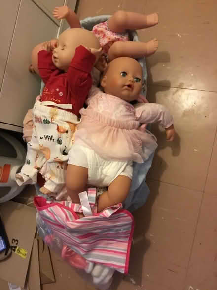 Photo of free Dolls and equipment (SG1) #1