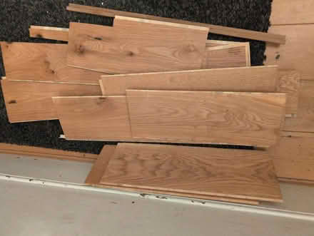 Photo of free Oiled Oak engineered off cuts (N2 East Finchley) #1