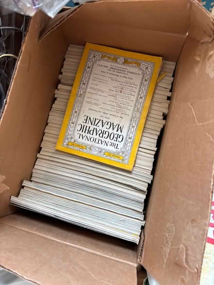 Photo of free National Geographic magazines (AU Park, DC) #4