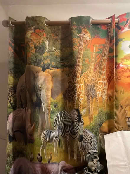 Photo of free Animal print curtains (Tonbridge) #1