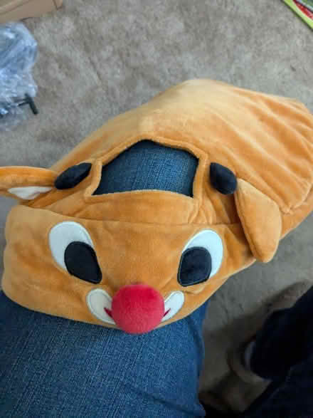 Photo of free Rhoomba Rudolph cover (Leedom, Ridley park) #1