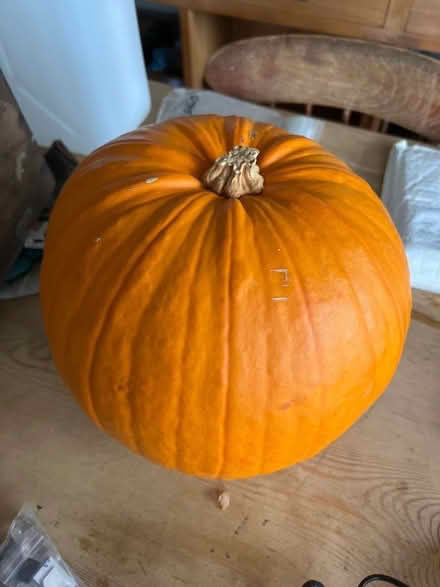 Photo of free Pumpkin (Hastings TN35) #1